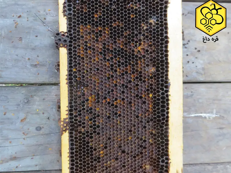 موم طبیعی سیاه