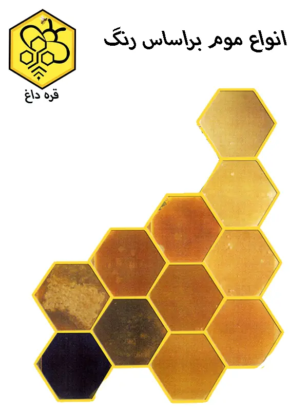 عمده فروشی موم طبیعی