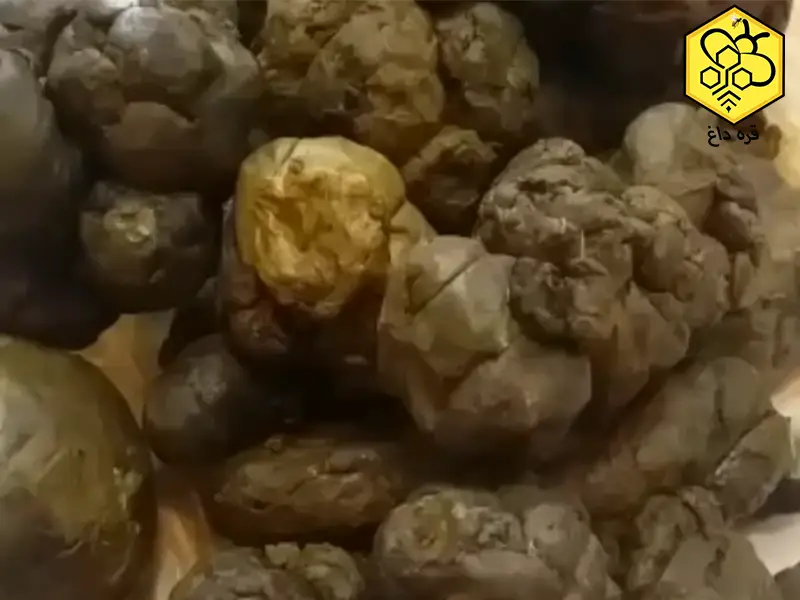 عمده و تناژ برهموم جهت صادرات