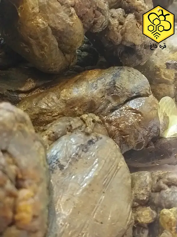 عمده و تناژ برهموم جهت صادرات