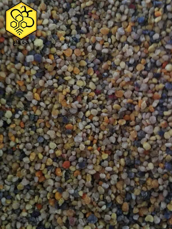 گرده گل کوهستانی