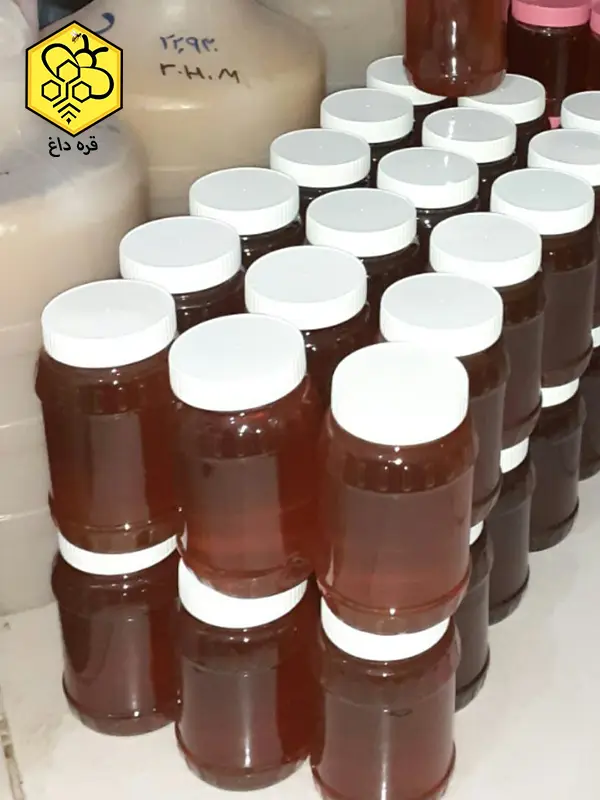 صادرات انواع عسل