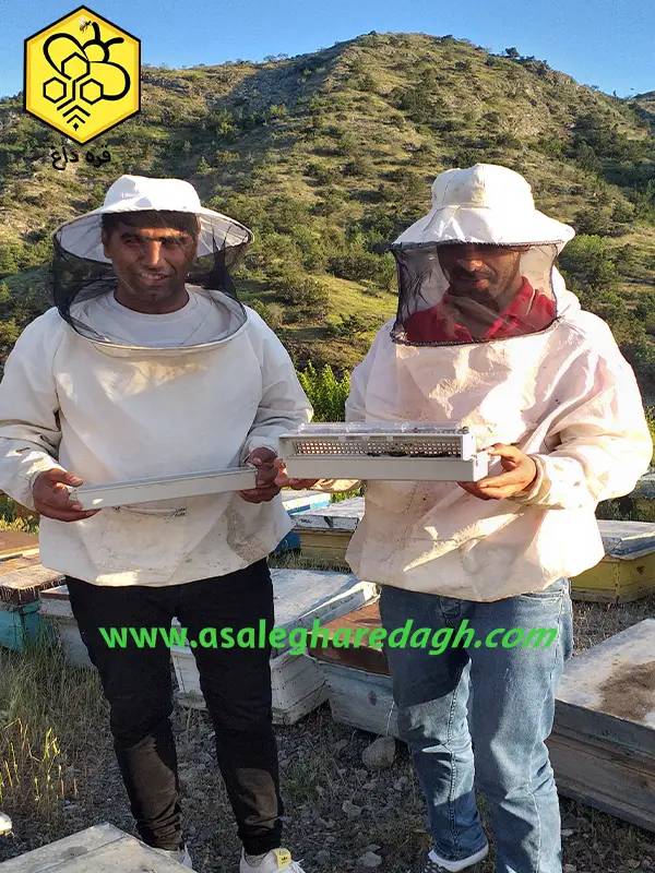 خرید استثنایی گرده گل