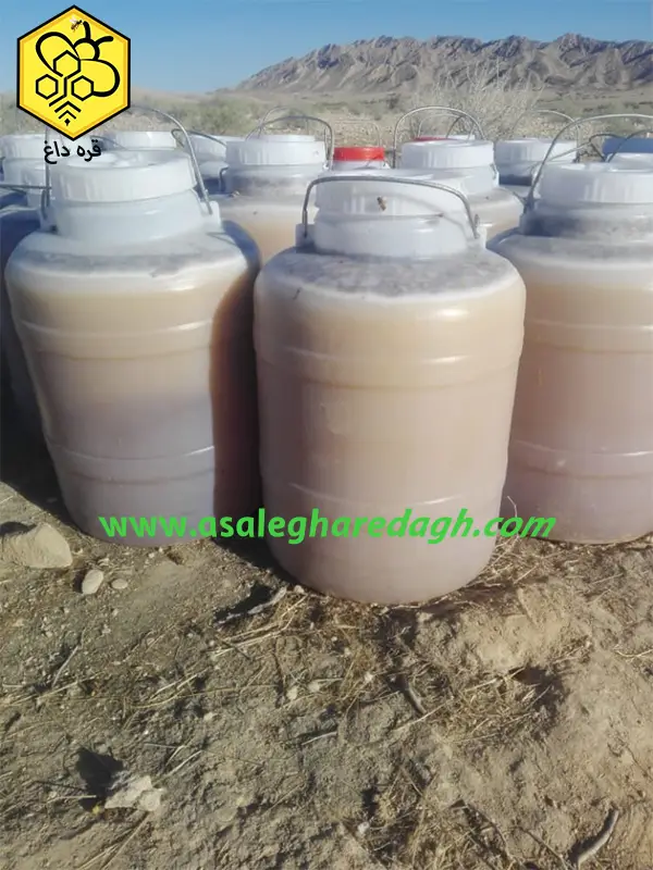 خرید فله و تناژ عسل