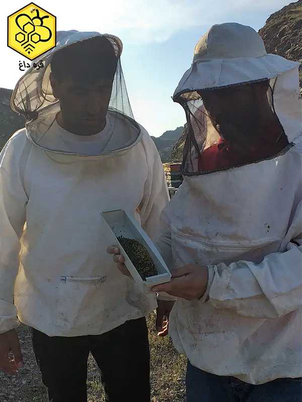 خرید گرده گل تلخ