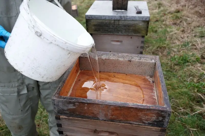 عسل طبیعی تغذیه ای