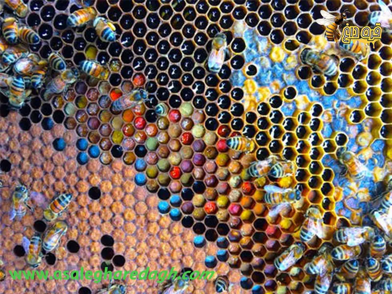 تامین گرده گل اعلا