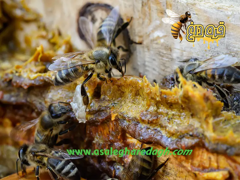 فواید بره موم ارگانیک