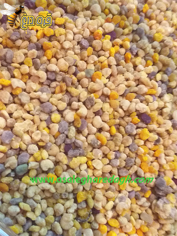 گرده گل شقایق