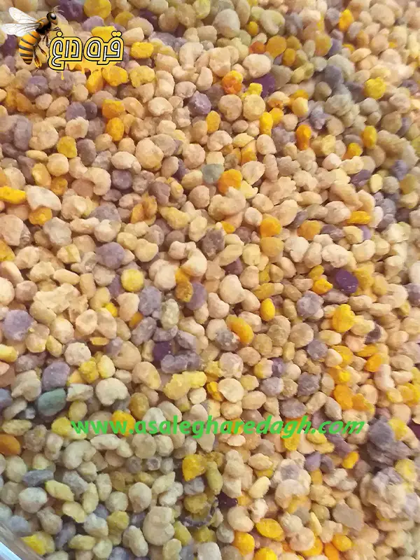 گرده گل شقایق