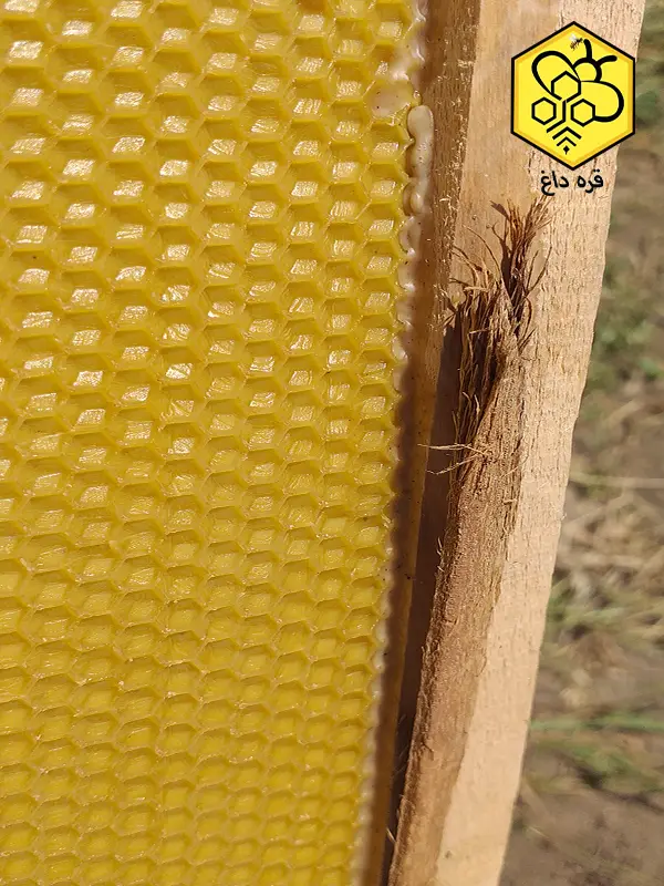 خرید موم آجدار شفاف