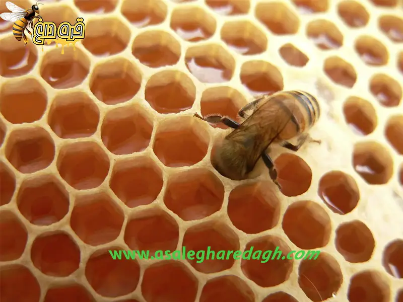 موم ورق آج شده