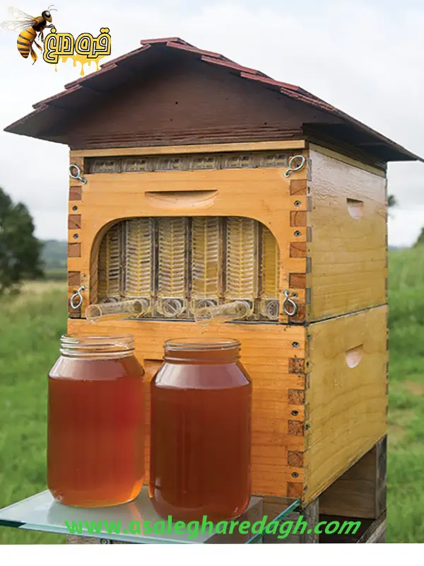 خرید کندو عمده