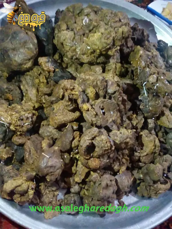 فروشندگان بره موم ایرانی