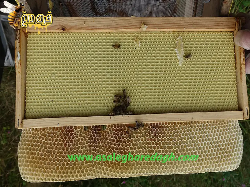 موم ورق آج شده