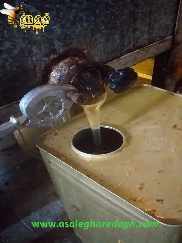 عسل طبیعی گل از دشتها