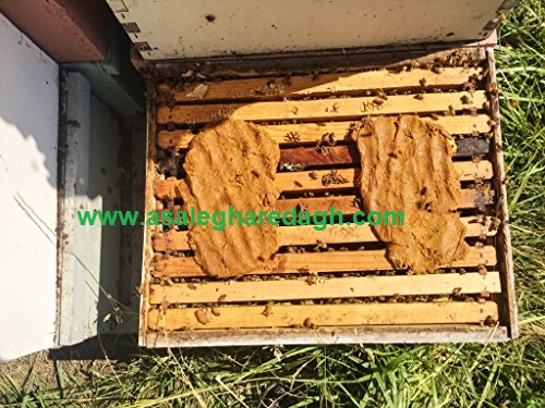 خرید ارزانترین گرده گل طبیعی