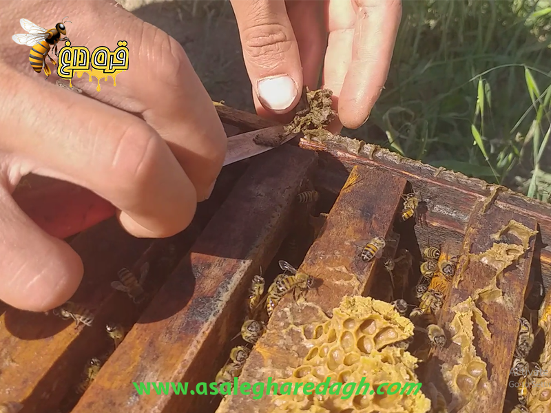 بره موم خالص چه ویژگی دارد