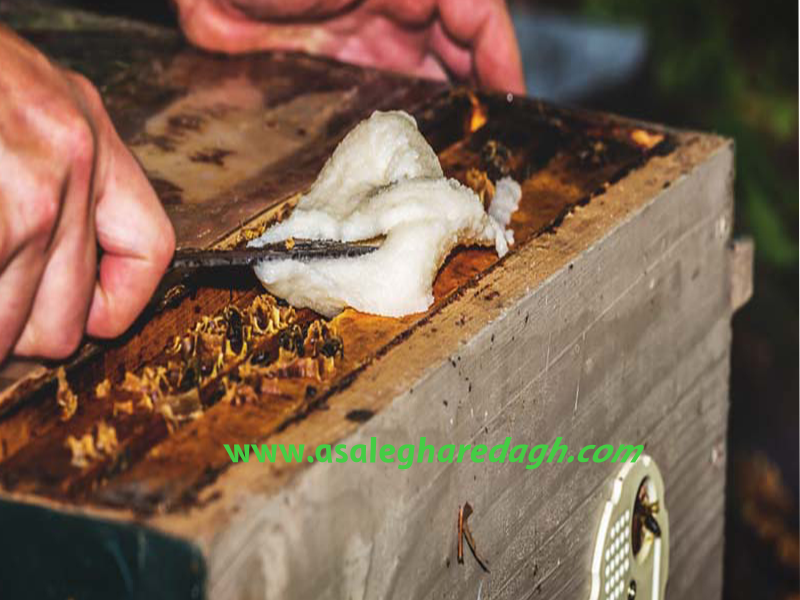 خرید ارزانترین گرده گل طبیعی
