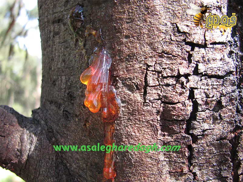 خرید بره موم عمده