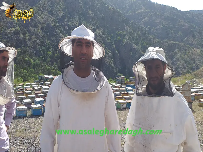 بزرگترین تولید کننده ی عسل