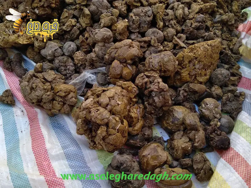 فروشندگان بره موم ایرانی