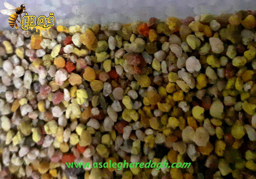 فروشگاه تخصصی گرده گل