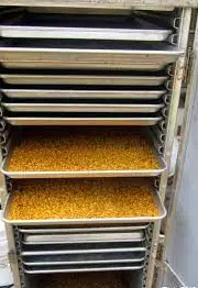 ارسال رایگان گرده گل