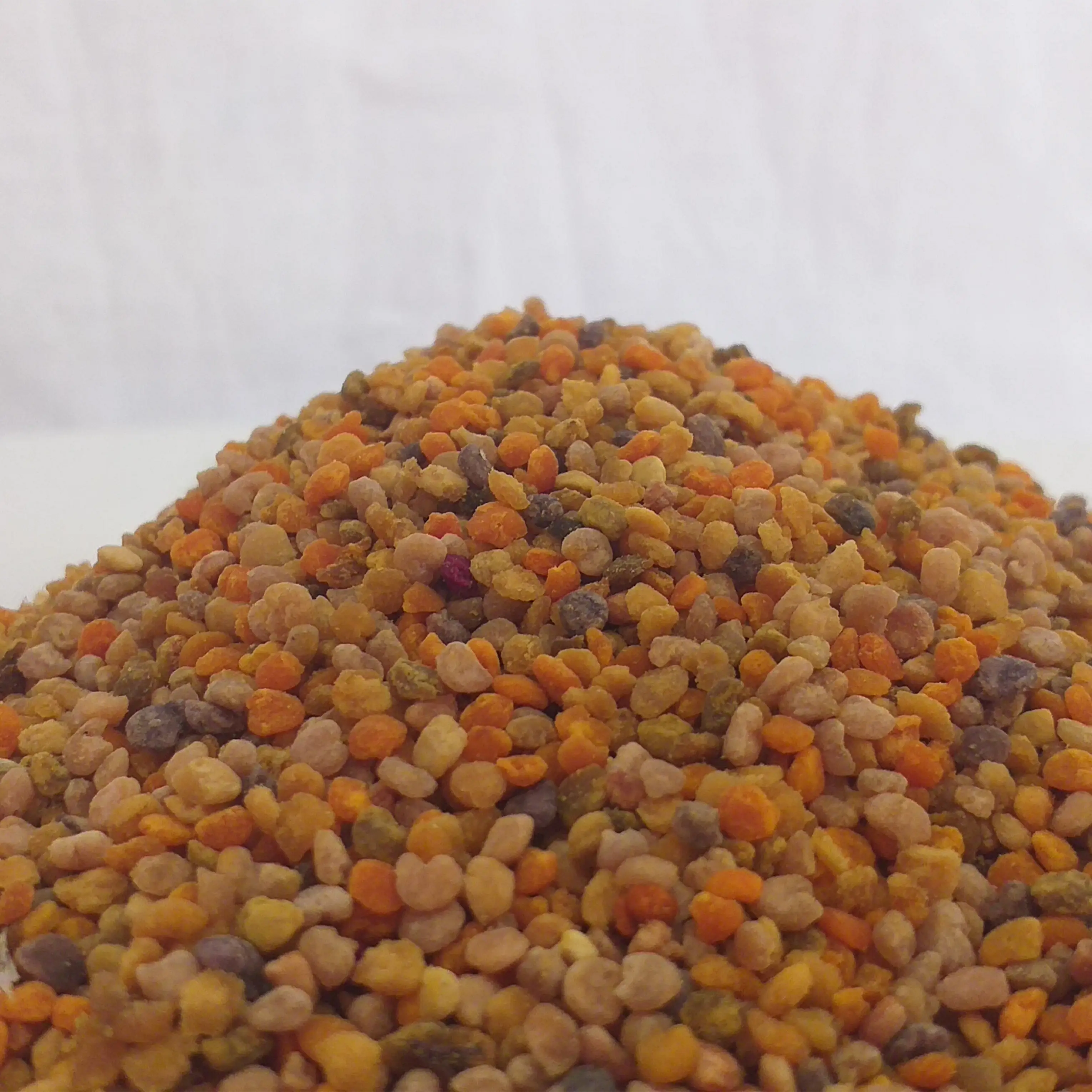 عمده فروشی گرده گل