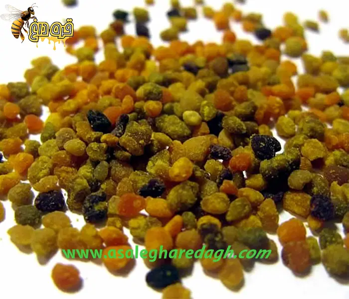 گرده گل در سال 1404