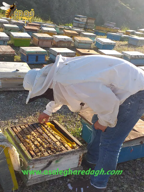 فروشنده ی معتبر عسل