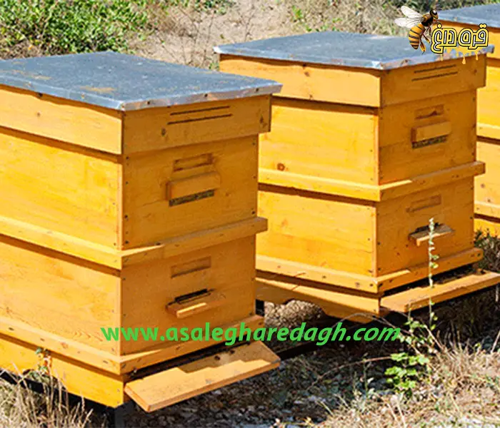 فروشگاه محصولات زنبور عسل