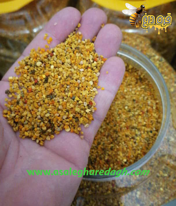 تنوع رنگ گرده گل