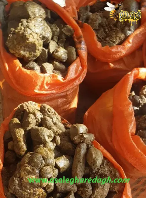 خرید بره موم یشمی