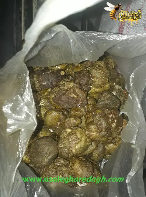 خرید بره موم یشمی