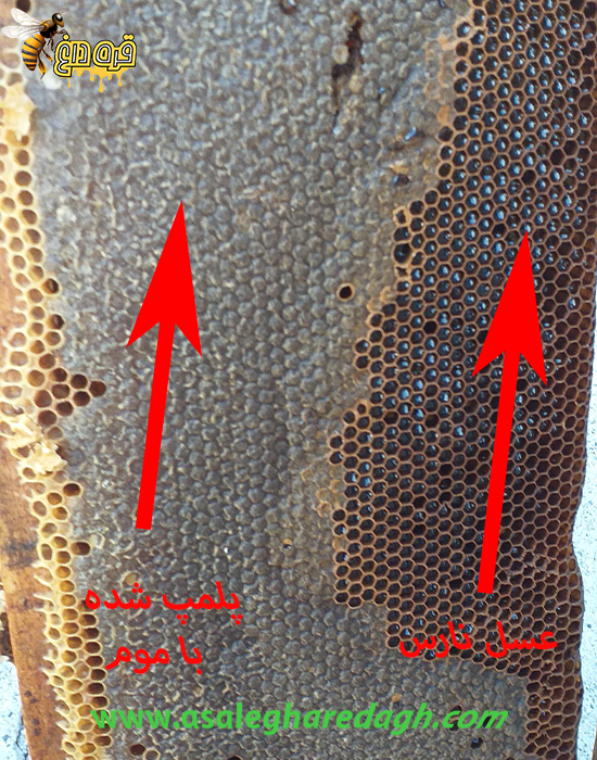 عسل طبیعی با حلب
