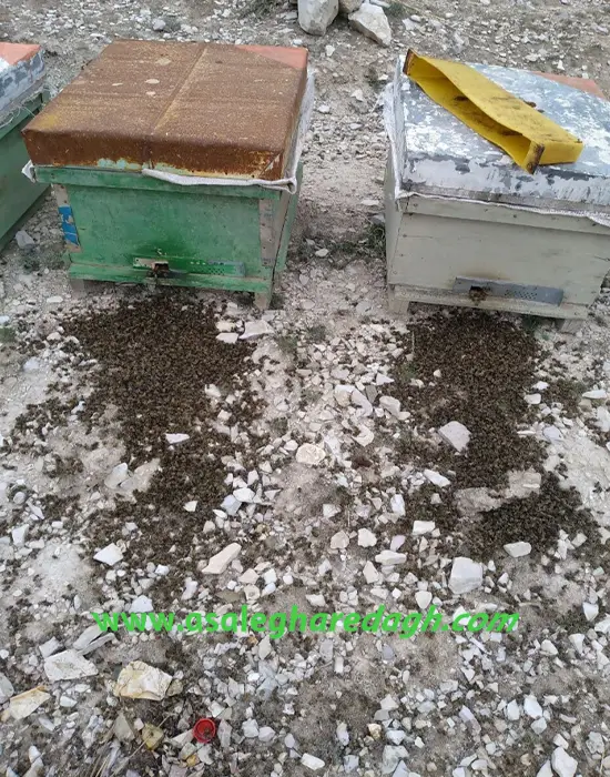 اثر آفات کشهای کشاورزی