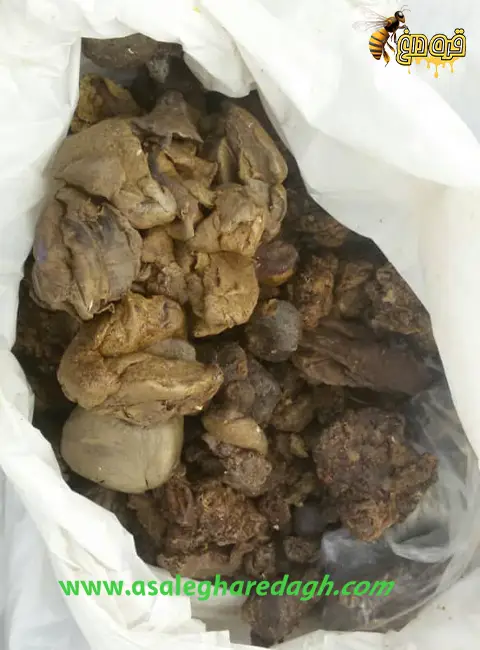 بره موم جهت مبارزه