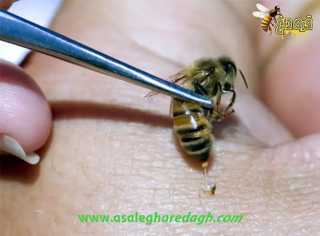 محصولات زنبورعسل