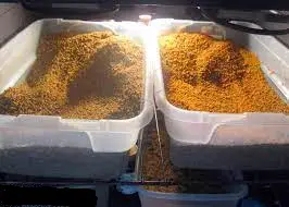 گرده گل تازه بدون آلرژی