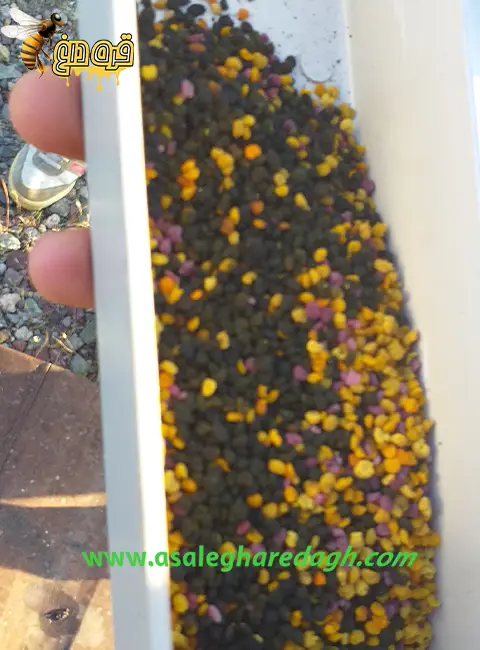 مرکز خرید گرده گل