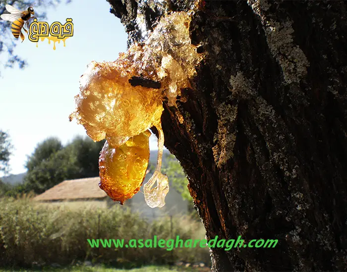 بره موم تازه ارسال رایگان