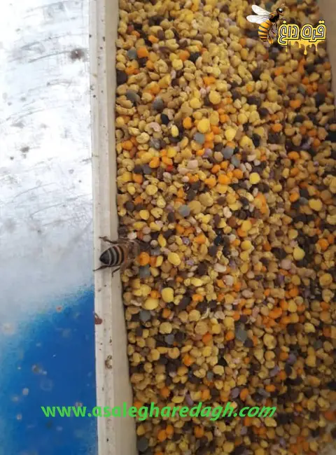 گرده گل طبیعی