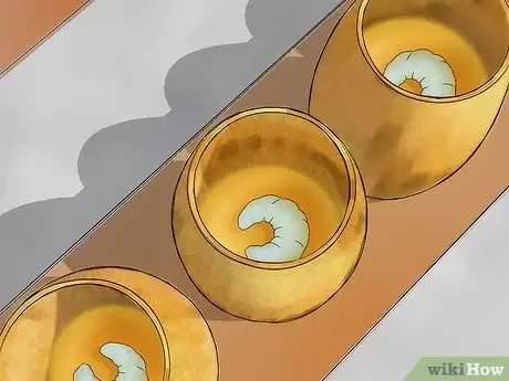 خرید ژل رویال صادراتی