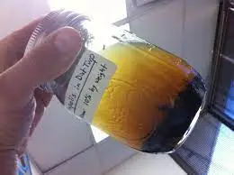 بره موم تازه ارسال رایگان