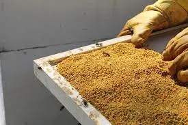 گرده گل تازه بدون آلرژی