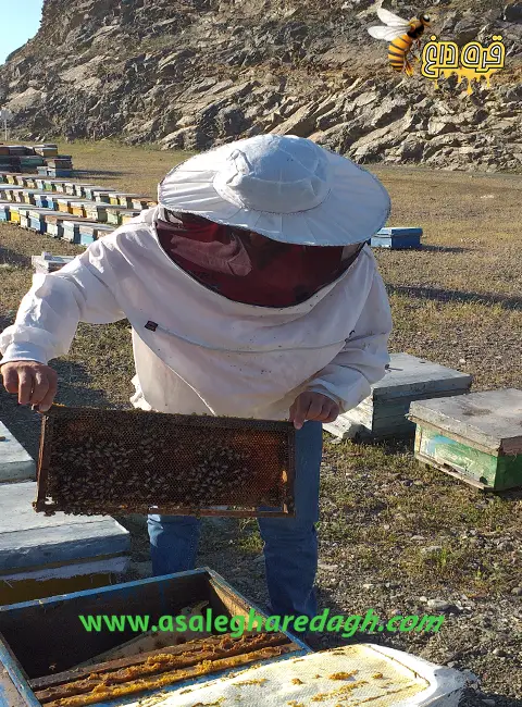 محصولات زنبورعسل