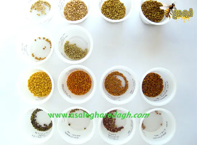 قیمت عمده فروشی گرده گل