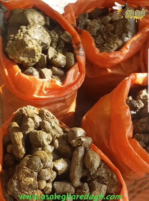 خرید تناژی بره موم