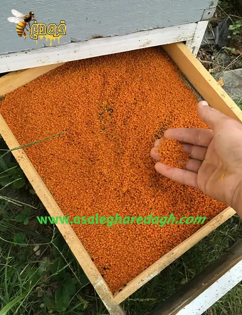 گرده گل به کشور عراق